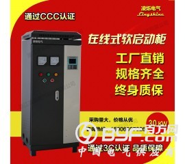 在线中文软启动柜30KW水泵专用