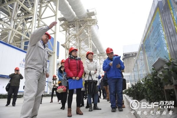 中国将停建30座燃煤电厂，绿色和平：全球史无前例