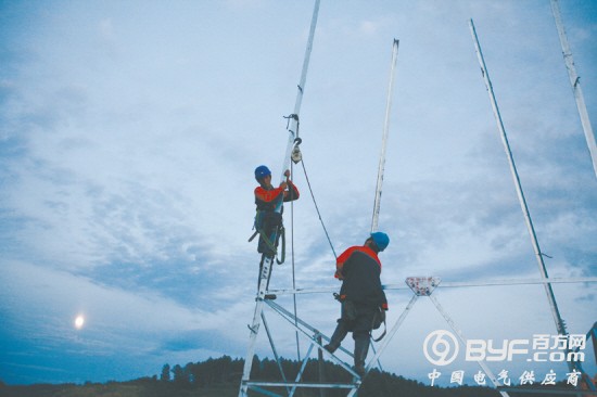 国网辽宁电力：“黑土地”上的精准扶贫