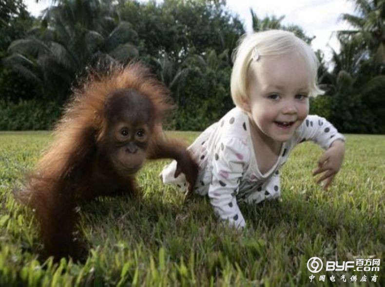 电瓶车绝对环保？这巴掌打得有点响！