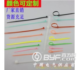 塑料自锁式尼龙扎带封条 塑料扣束带线带批发图2
