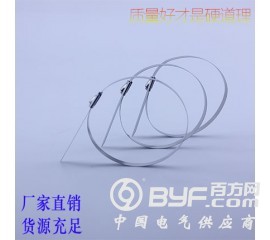 304 不锈钢自锁扎带 金属扎带 管箍管夹 等各型号图2