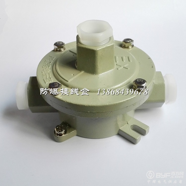 G20 二通吊 防爆接线盒 (2)