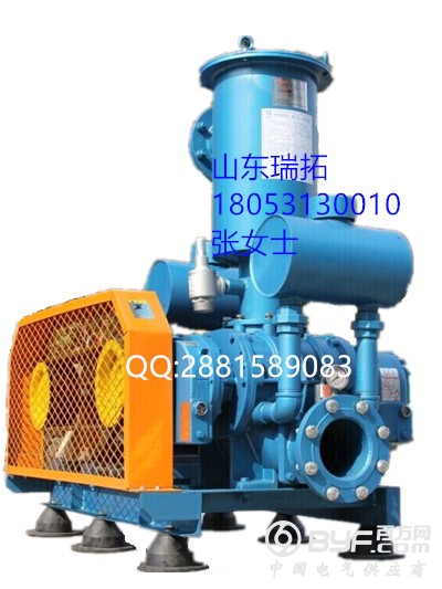 高负压罗茨真空泵_副本_副本