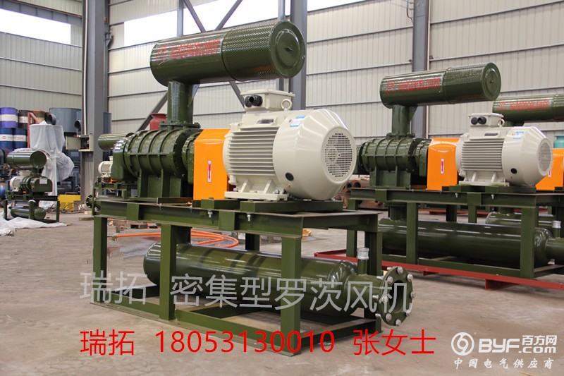 照片 012_副本_副本