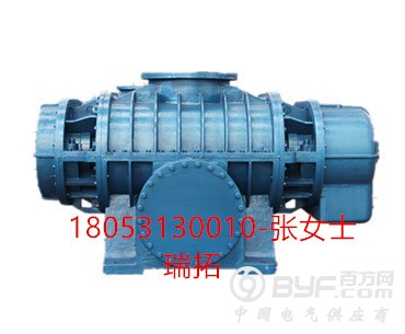 二叶罗茨风机 (1)