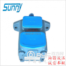 美国SUNNY叶片泵45V75A-1C22R 1A 1B