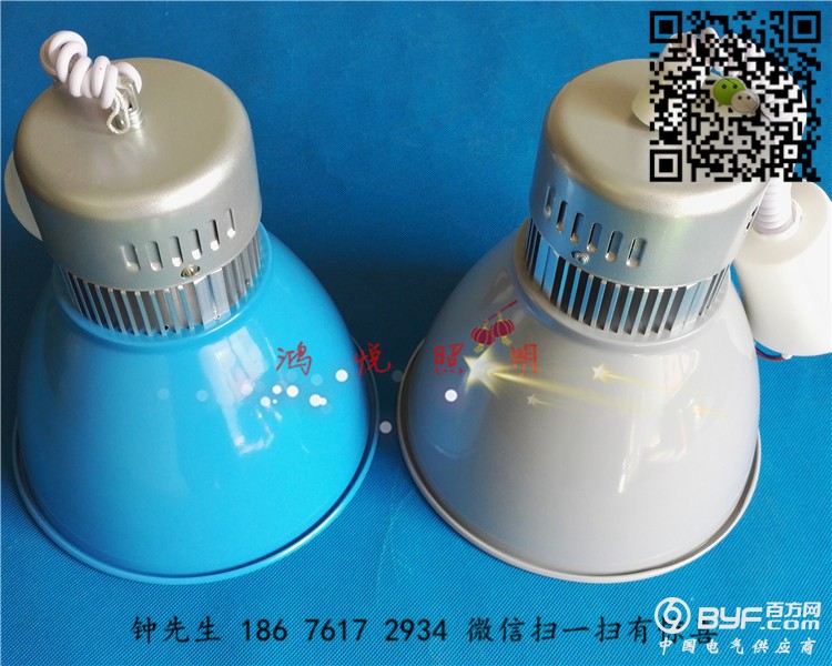 30W生鲜灯6