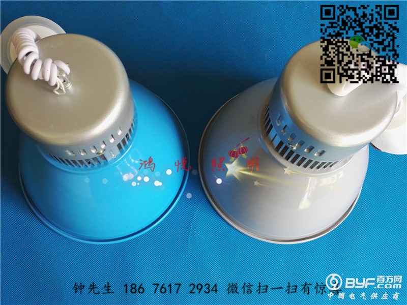 30W生鲜灯7