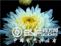 丰电事故遇难者家属全部签赔偿协议 遗体已火化