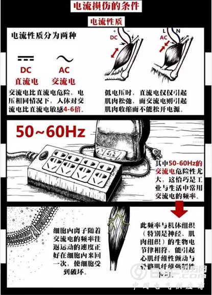 触电致人死亡，电流杀人的物理原因是什么?