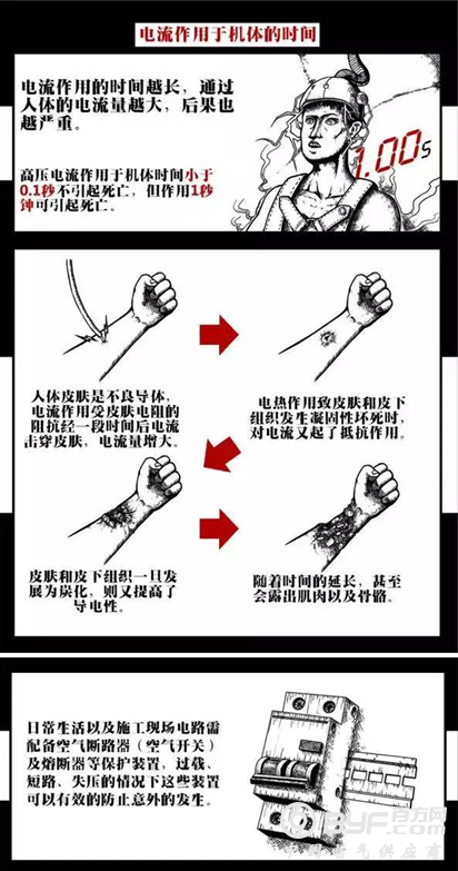 触电致人死亡，电流杀人的物理原因是什么?