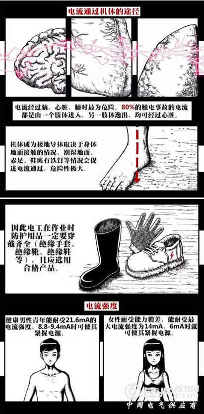 触电致人死亡，电流杀人的物理原因是什么?