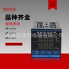高品质智能温湿度控制器TDK0302