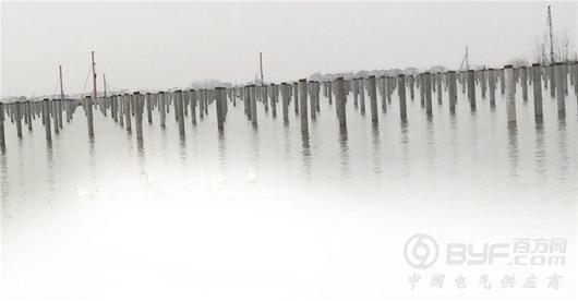 湖北荆州叫停十亿元光伏发电项目 企业已着手自行拆除施工