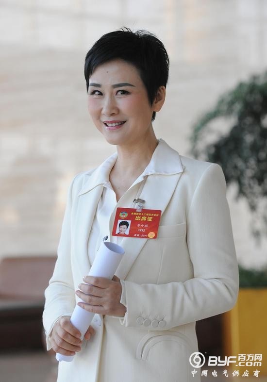 政协委员李小琳：推进分布式能源加储能规模化发展