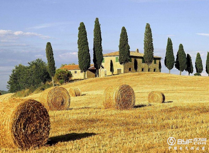 朱玉华：加强秸秆综合利用 促进农民增收