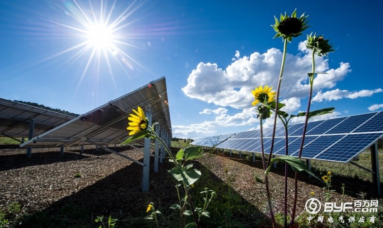 越南多乐省将建设33亿美元的太阳能项目