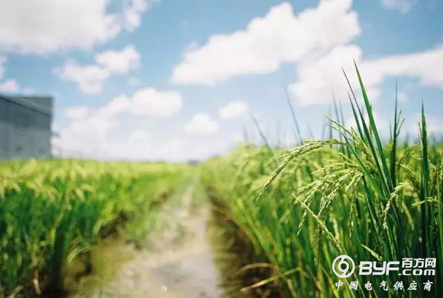 风、光、水、核集体陷&ldquo;弃电&rdquo;怪圈 代表委员问计清洁能源消纳难