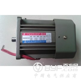 供应厦门东历马达5IK90GU-S3-6图2