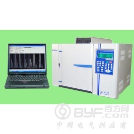 广州SP-2020型气相色谱仪厂家优惠