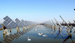 野鸭都不见了!荆州为环保让路叫停十亿元光伏发电项目