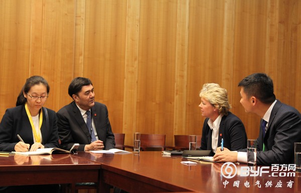 努尔&middot;白克力会见西门子能源领域全球执行官