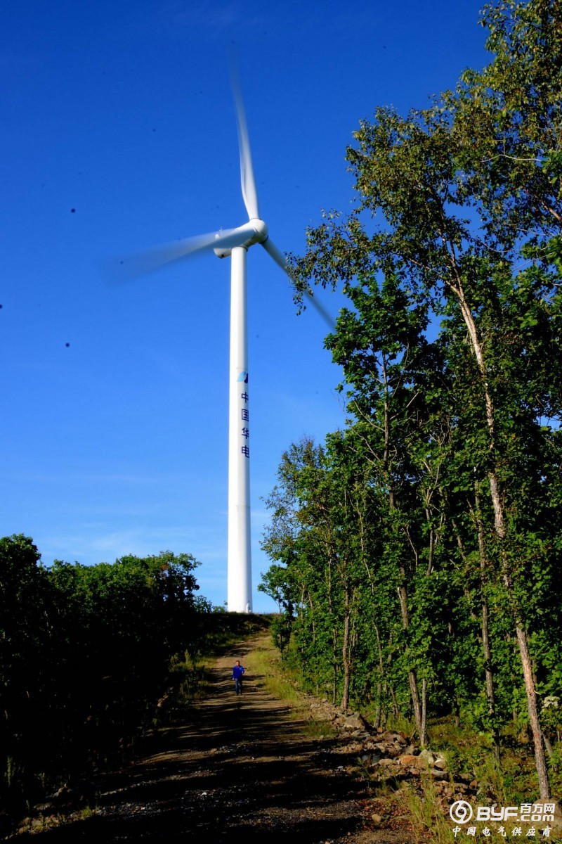 风电吊装容量今年至少增加18%