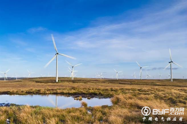 供应330万户 苏格兰风力发电量再创新高