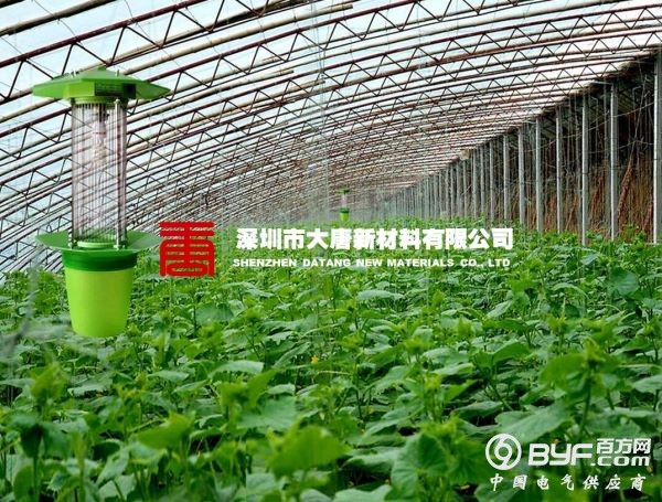 阳光板蔬菜大棚3