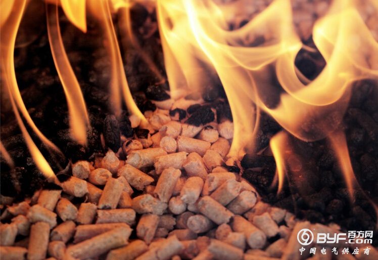 瑞典是如何让生物质成型燃料消费量居世界第一的？