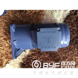 东力电机股份有限公司图2