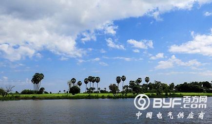 治理环境要这样的狠招