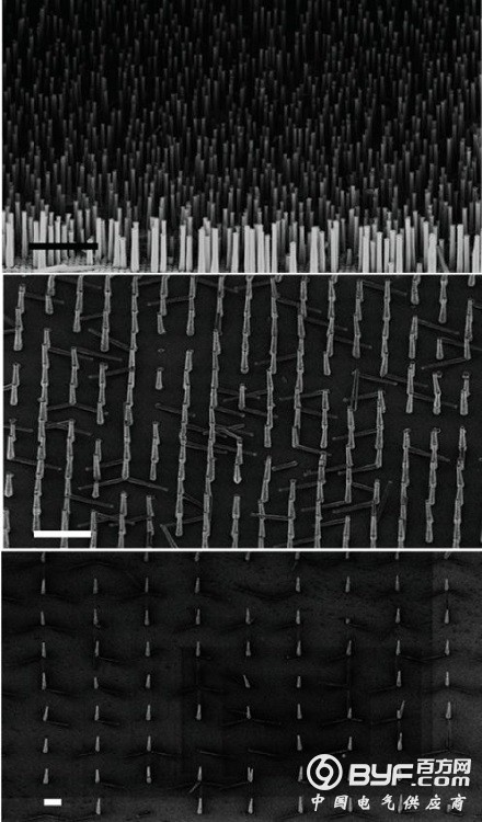 兼容Si-CMOS的纳米柱LED可让光子整合更准确
