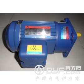 0.2KW 1/4HP 220V 380V 4P INS:F图3