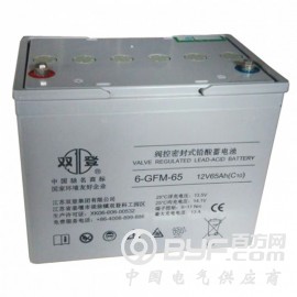 洛阳双登蓄电池6-GFM-65供应商