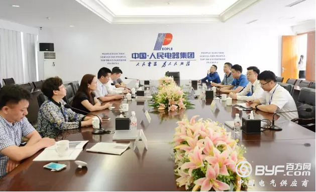 安徽省宣城市领导一行考察人民电器
