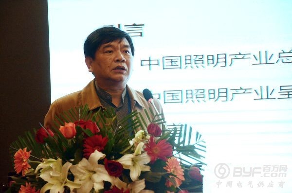 中国照明学会秘书长分析国内照明产业现状
