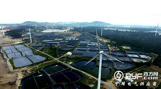 中外专家在京探讨&ldquo;电&rdquo;&ldquo;动&rdquo;&ldquo;车&rdquo;