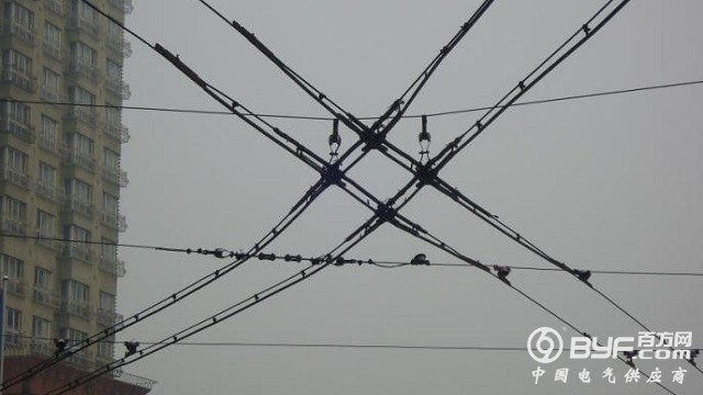 6个月2次抽查不合格 国网暂停青岛汉缆中标资格4个月