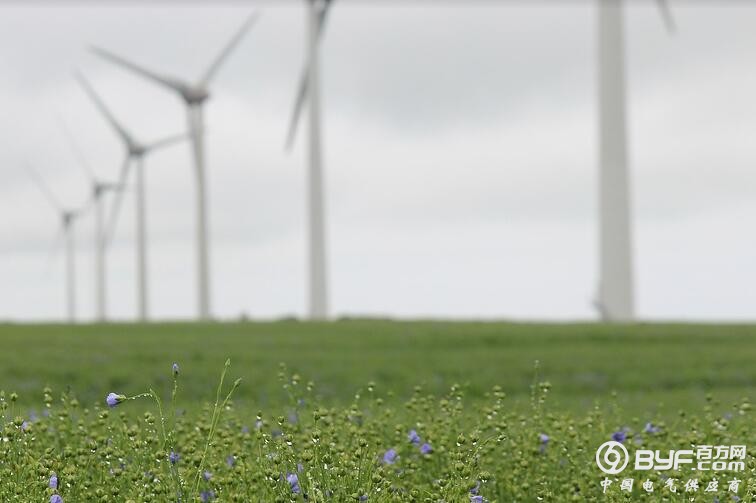 Alliant Energy 收购EDF旗下225MW风电项目50%股份