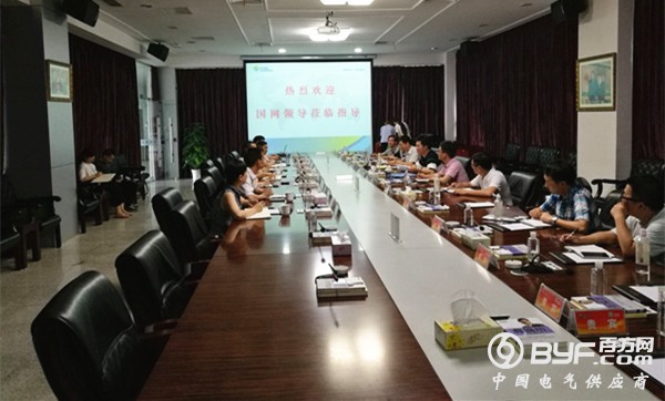 国家电网领导一行莅临远东考察交流