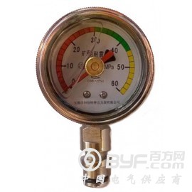 矿用双针耐震压力表BZY-50/BZY60图2
