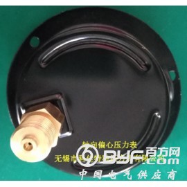 轴向偏心耐震压力表图2