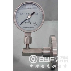 DN25法兰式隔膜压力表图2
