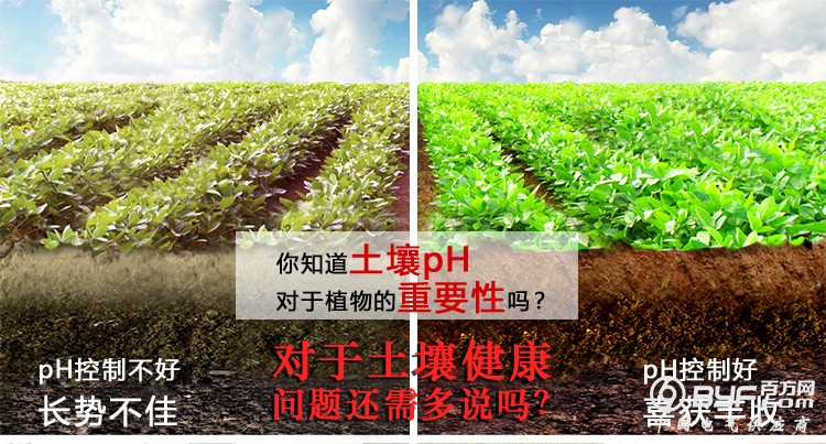 T25NigXzxaXXXXXXXX_!!1031919615