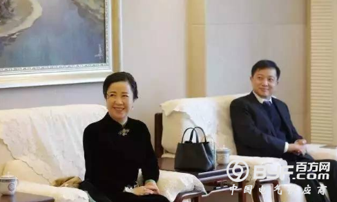 中兴霸道女总裁涉数亿非法集资自首