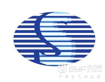 中国芯崛起榜样 中颖电子打破跨国巨子封闭