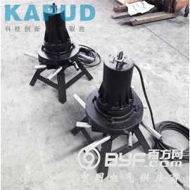 潜水离心曝气机QXB2.2kw 曝气沉砂池用的曝气机图2