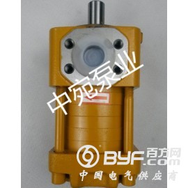 供应NT5-G80F直齿共轭转向内啮合齿轮泵图2